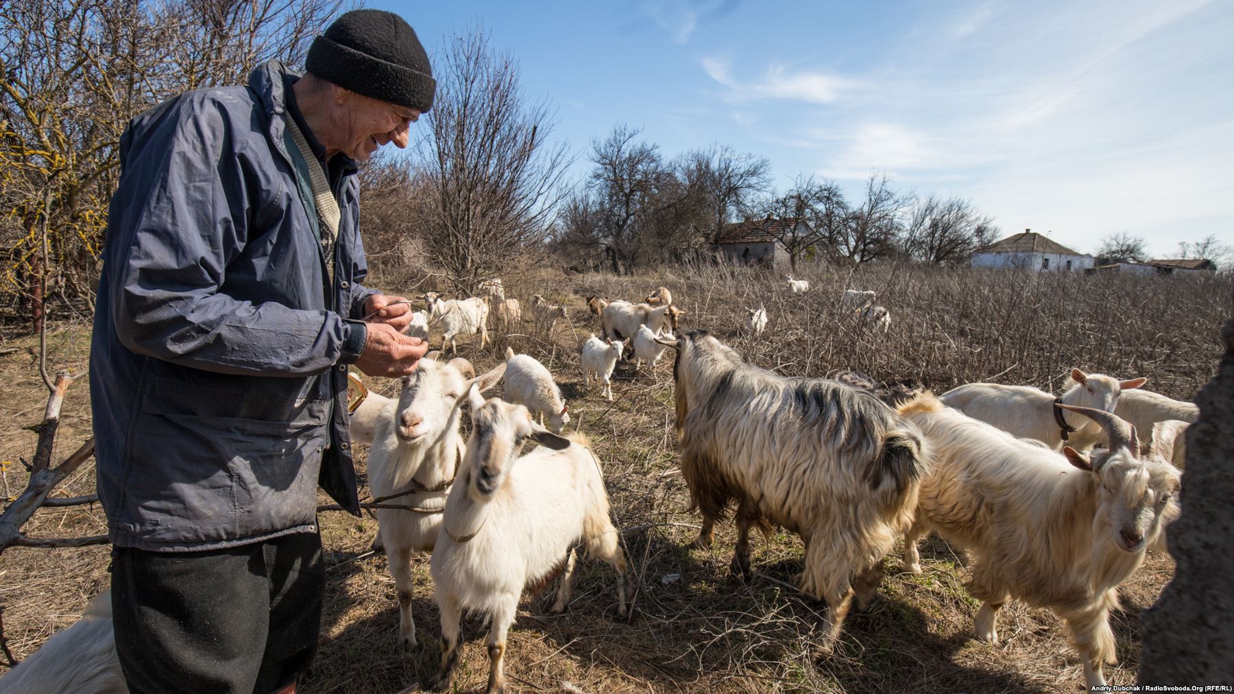 Mykola Ivanovych is one of 10 locals who opted to stay in the now militarized village. The 71-year-old looks after his 30 goats and sells milk mostly to Ukrainian soldiers. Photographer Dubchak says the goats remain highly sensitive to the fighting. "As soon as they hear shooting they run in the opposite direction." The flock has also been known to influence the fighting by clustering around concealed Ukrainian sniper positions, braying for food. "As a result the sniper has to change his firing position" Dubchak says. 