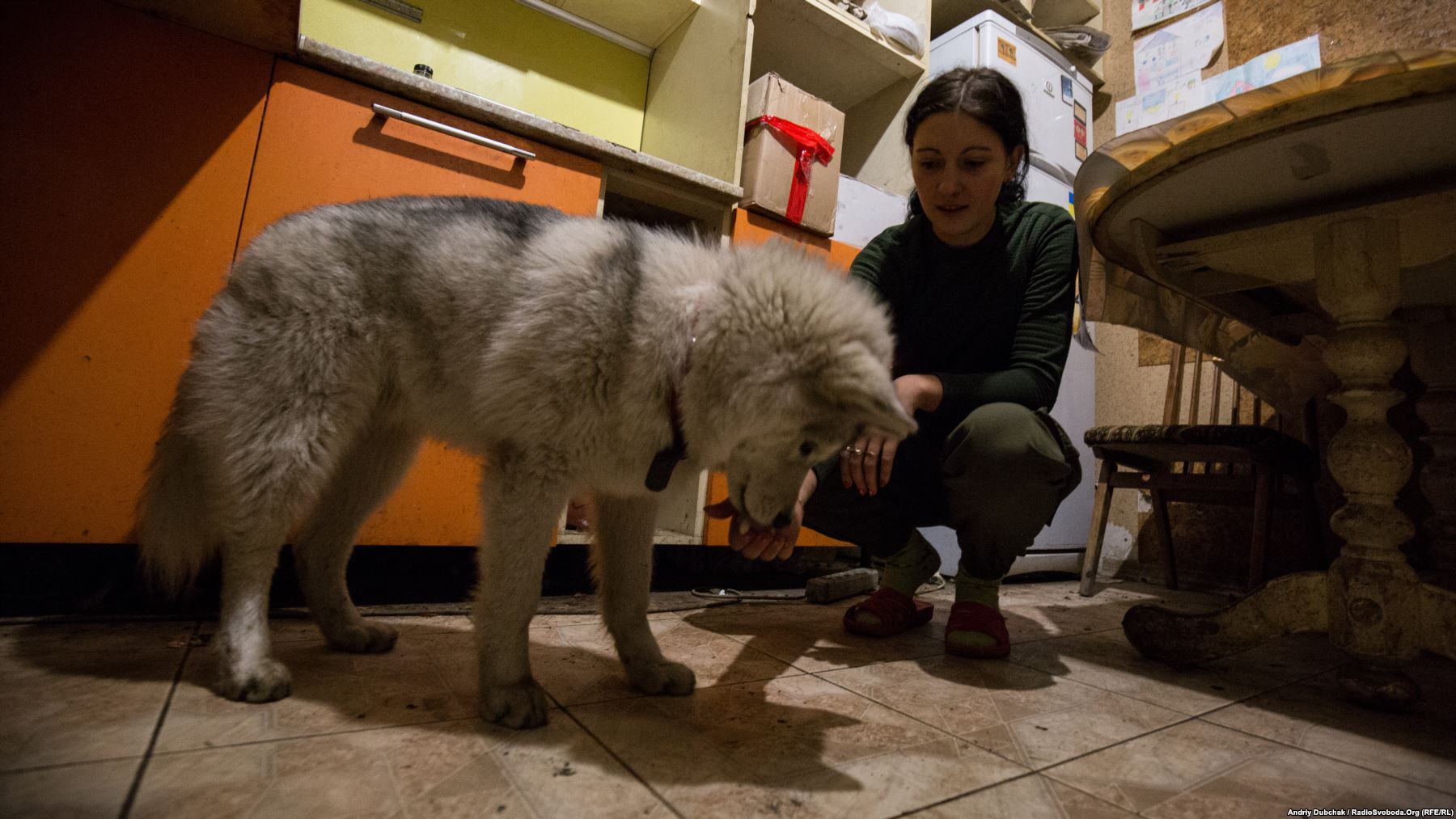 Дарина (23 роки) годує свого улюбленця, песика Рональда. На війні Даша з 2014 року, спочатку як волонтер, потім вже як воїн української армії. Вдома на Дашу чекає 6-річна донька