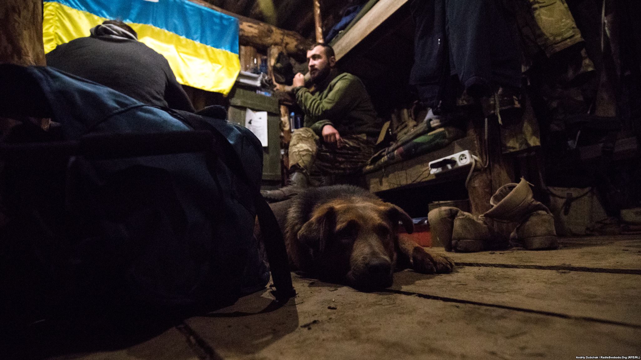 Dog by nickname, “Zaja#bis,” warms himself in a dugout furnished with a wooden floor (this is rarity and luxury