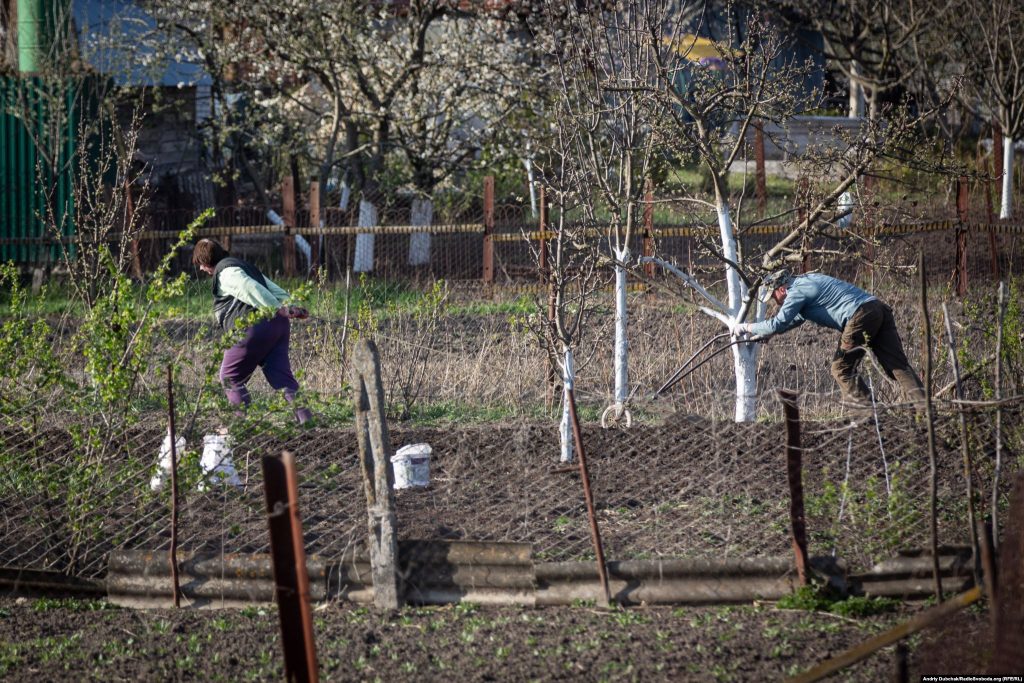 But the RFE/RL photojournalist says that, while the virus is upending life in his hometown, many residents are "reverting to a traditional survival tactic in times of crisis." They are "planting potatoes."   Photographer Andriy Dubchak / Ukraine